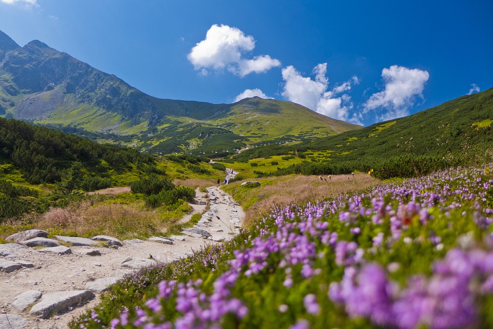 Vysoké Tatry na jaře